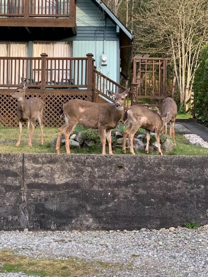 Hotel Seas The Day House 5 Star Hottub Pets Bbq Fire Premier Location Gibsons Exterior foto